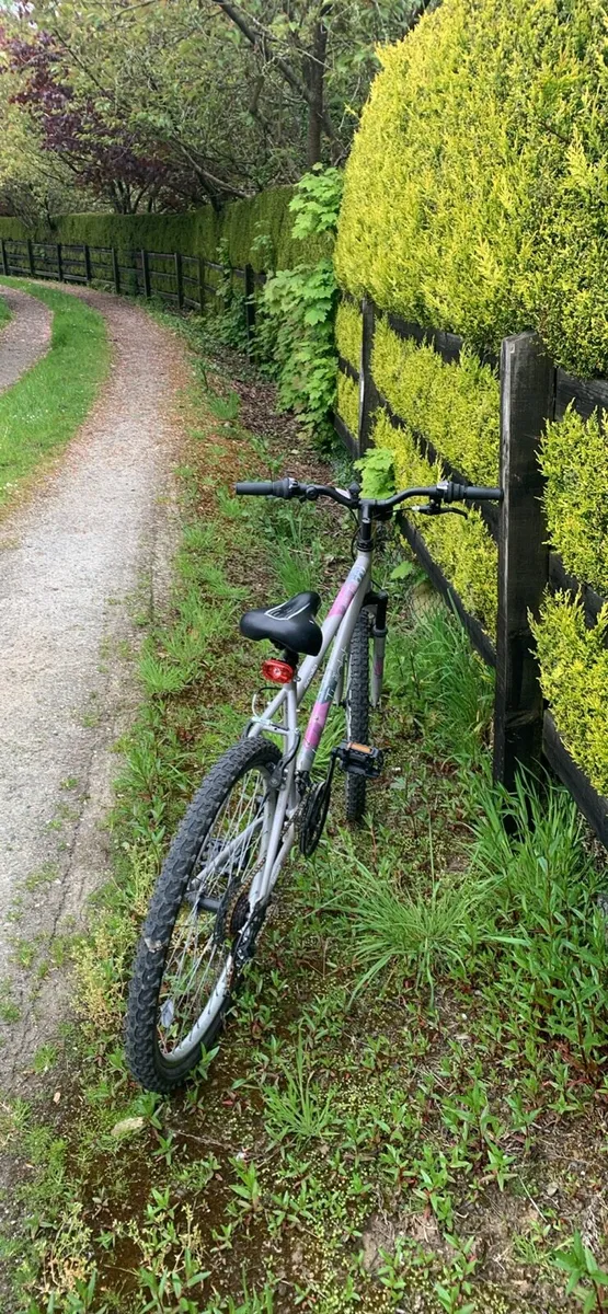 Kids mountain bike - Apollo twilight(read desc) - Image 2