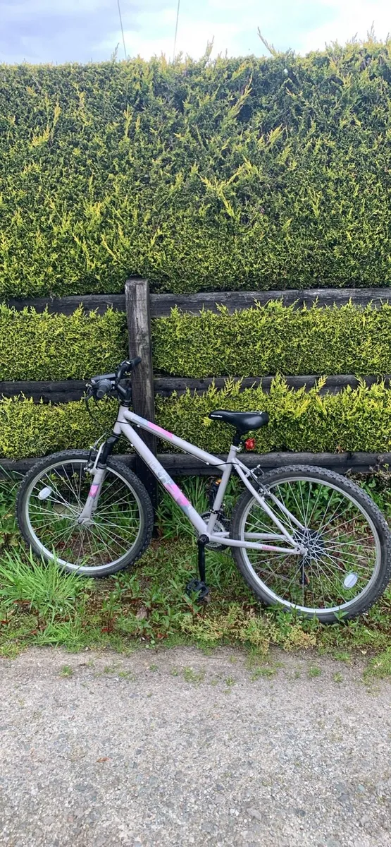 Kids mountain bike - Apollo twilight(read desc) - Image 3