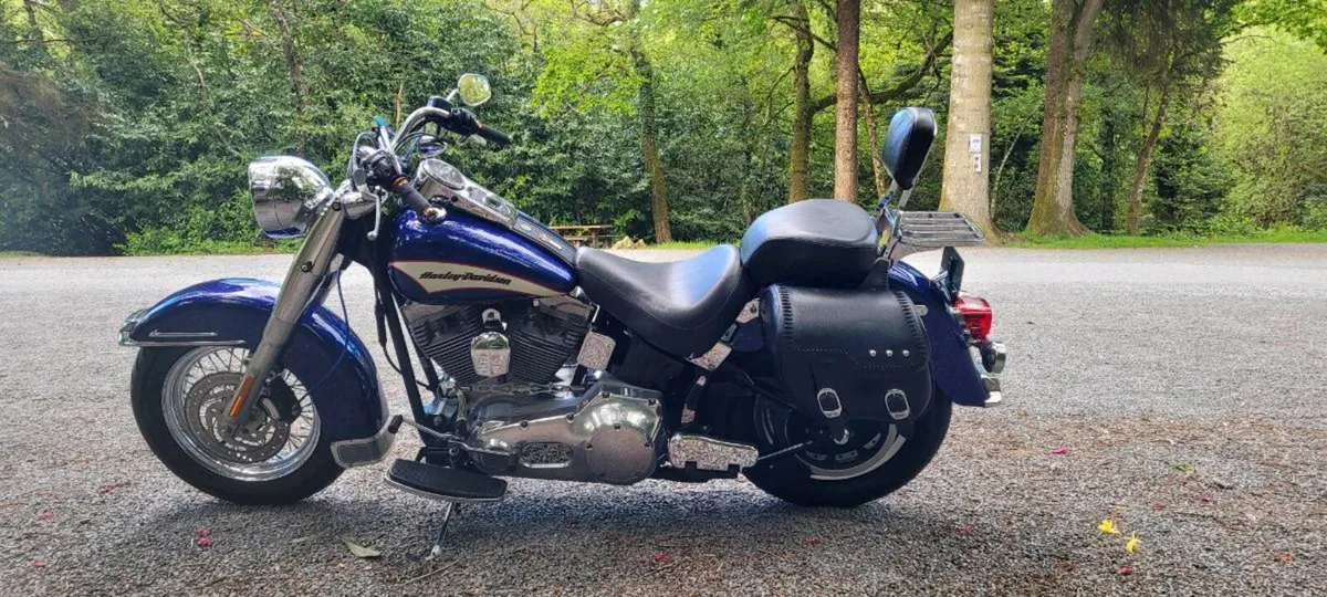 2006 FLSTI Heritage Softail - Image 2