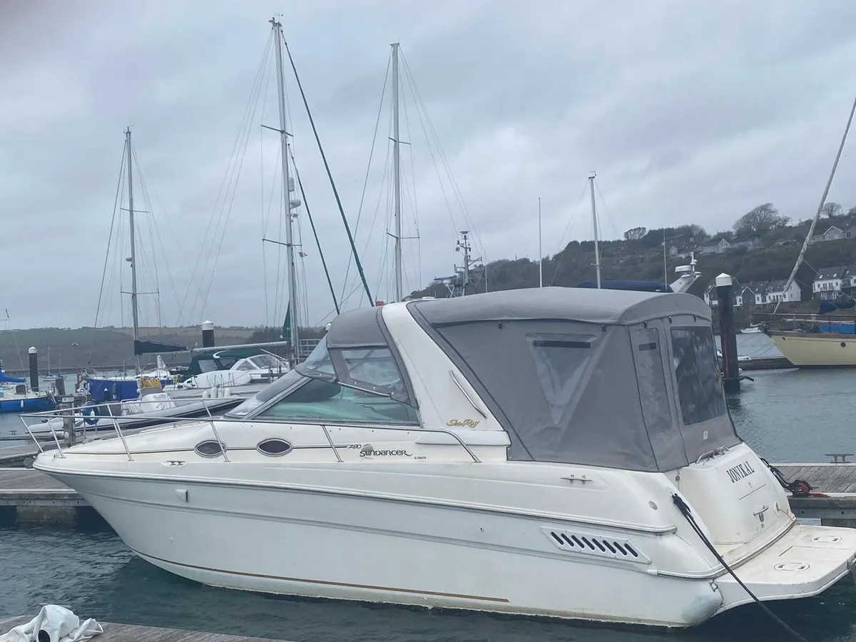Sea ray 290 sundancer - Image 1