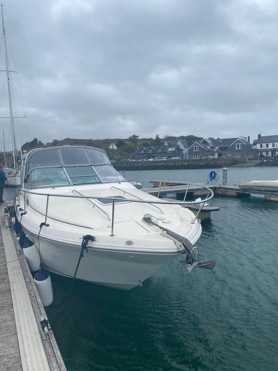 Sea ray 290 sundancer - Image 2