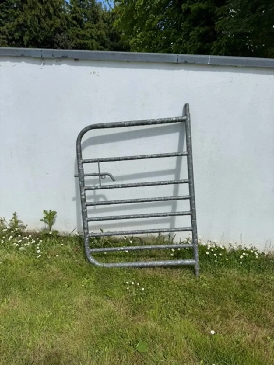 Galvanized steel gate - Image 1