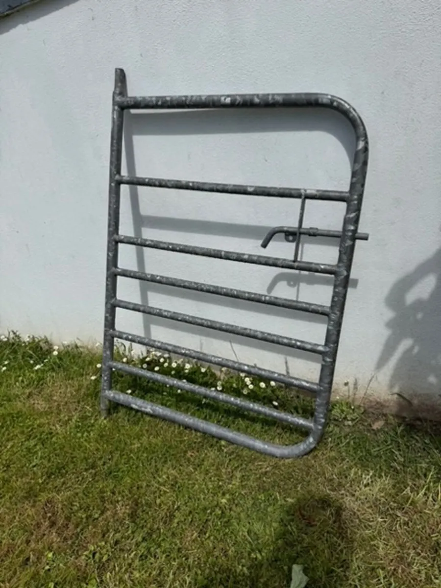 Galvanized steel gate - Image 2