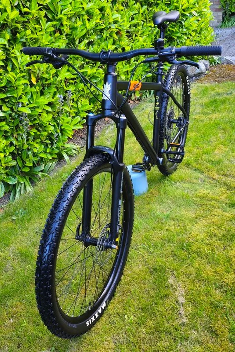 Mountain Bike - Voodoo Bizango - Image 4