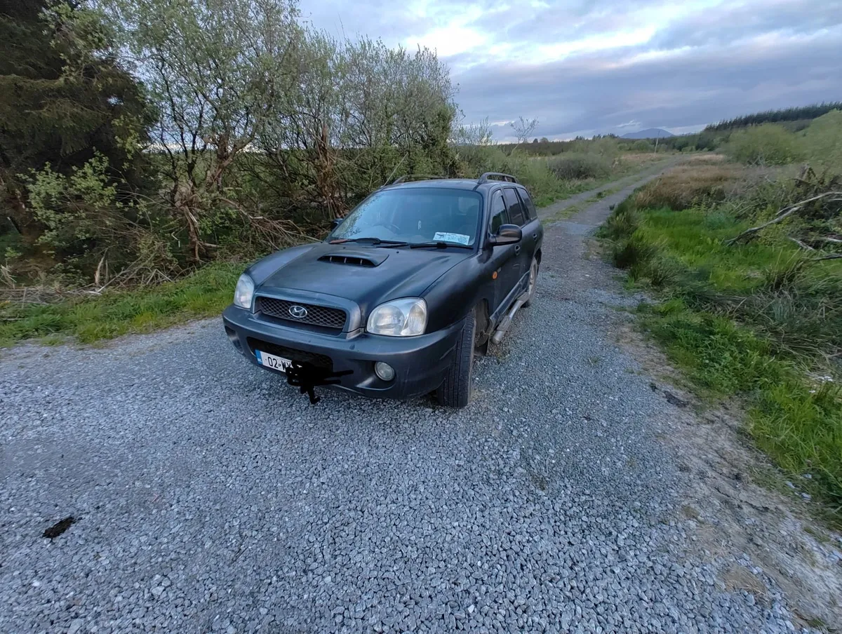 Hyundai Santa Fe 2002 - Image 4