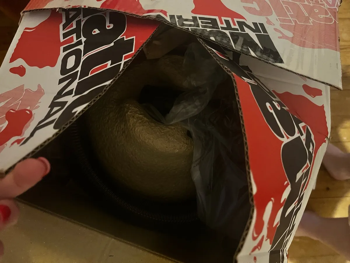 Henry Hoover - Image 4