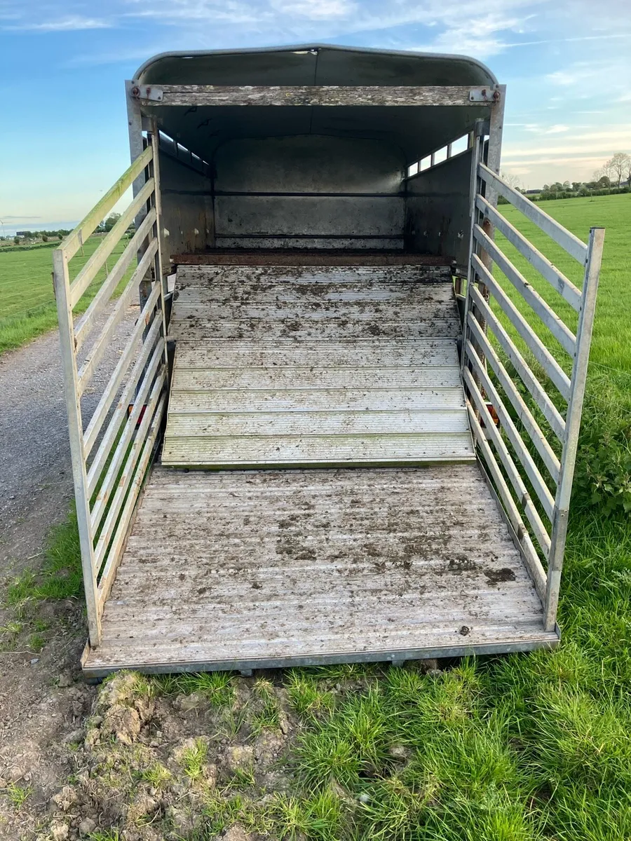 Ifor Williams cattle and sheep trailer - Image 2