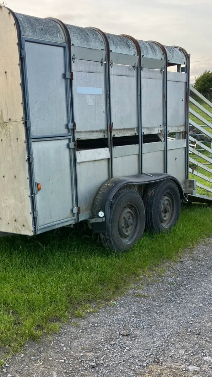 Ifor Williams cattle and sheep trailer - Image 1