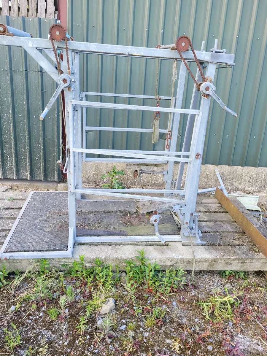 Ibc tanks ,blue barrels and hoof trimming crate - Image 2