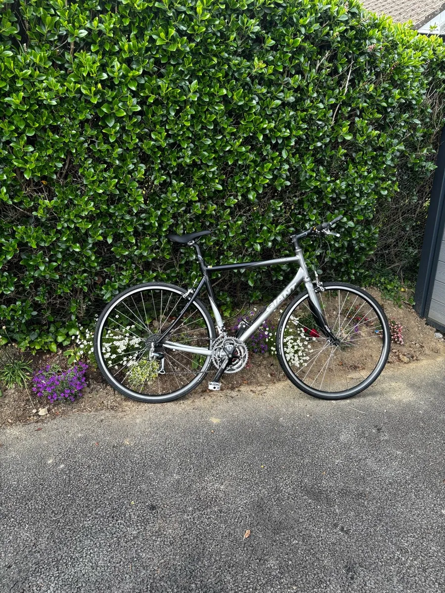 Giant bike - Image 1