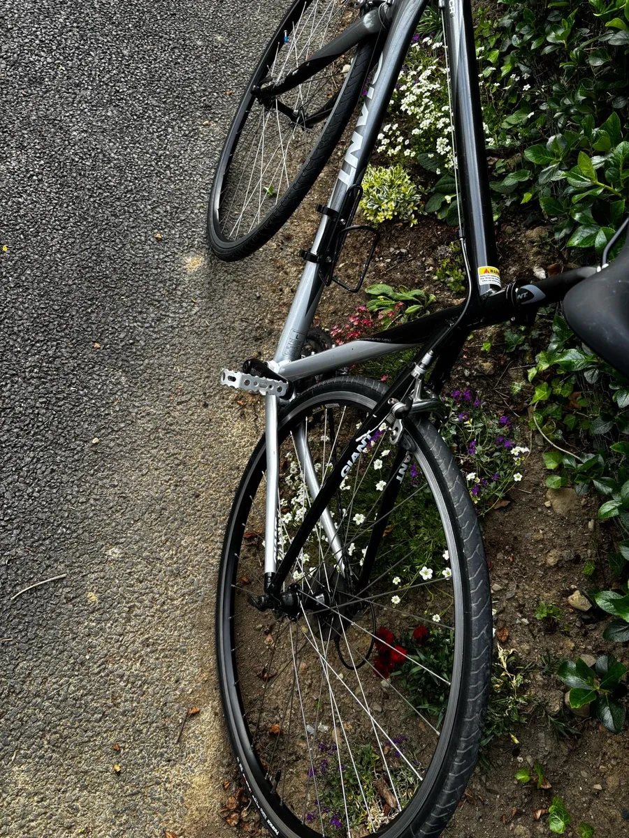 Giant bike - Image 2