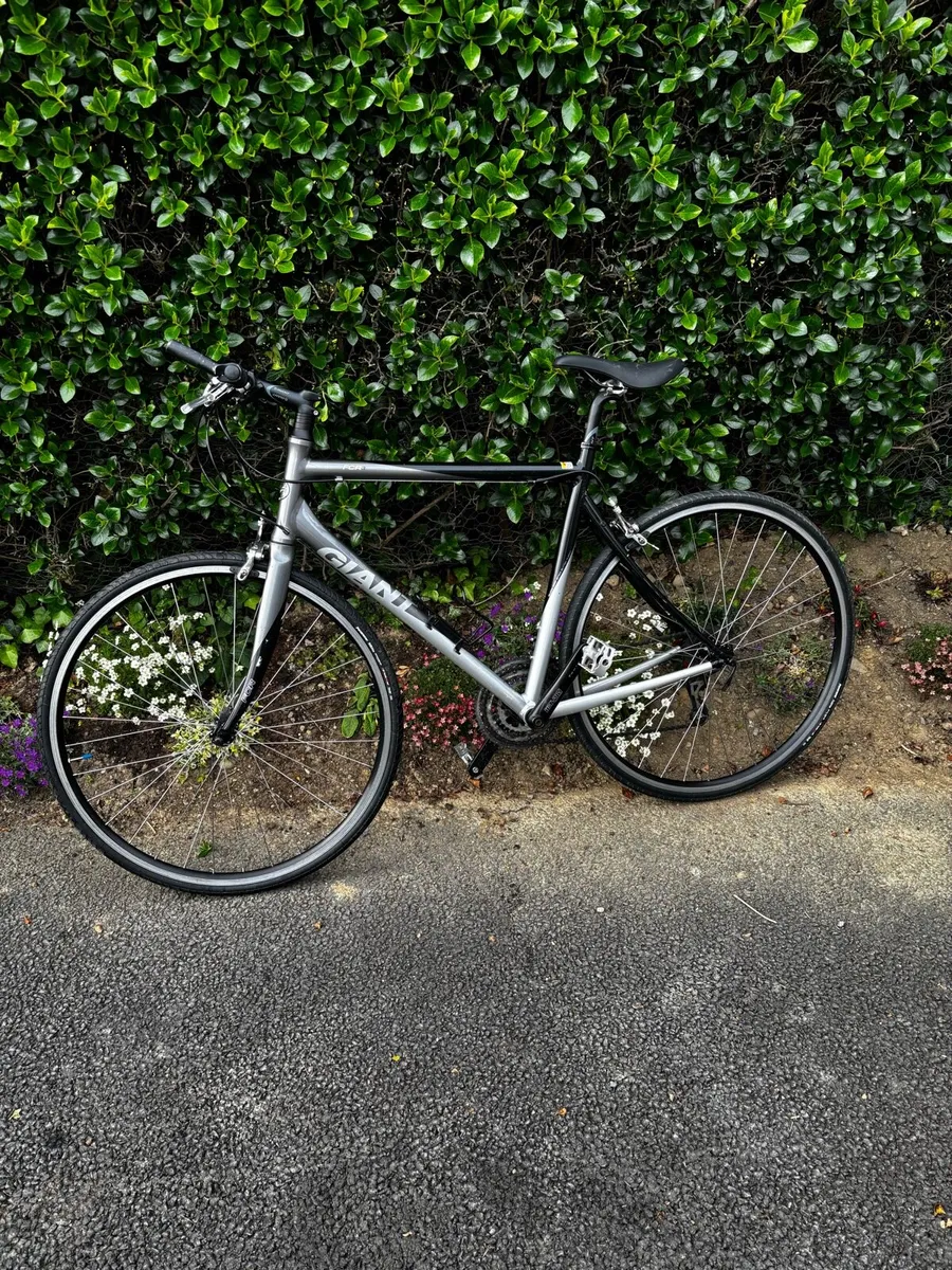 Giant bike - Image 3