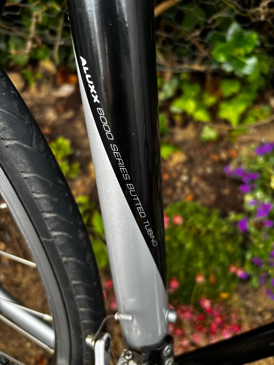 Giant bike - Image 4