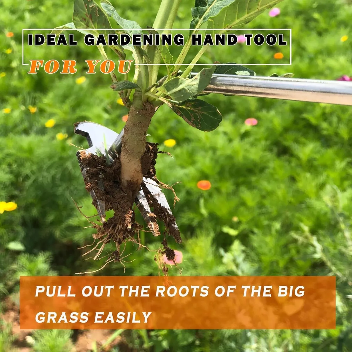 Four Claw Hand Weed Puller - Image 2