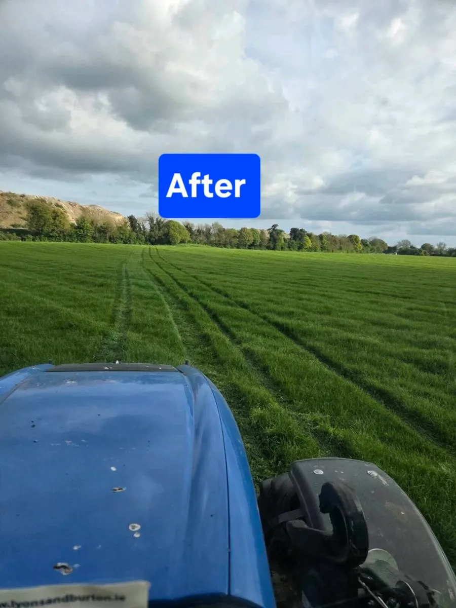 Reseeding / Grass stitching - Image 3