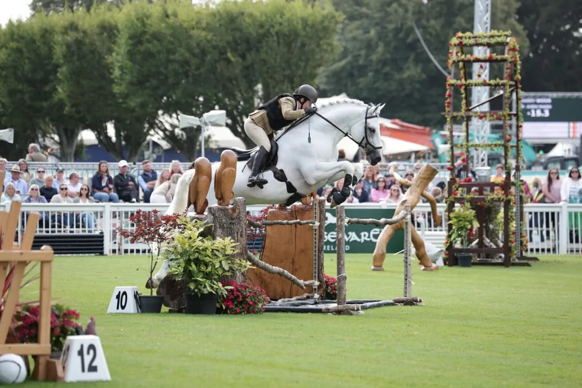 RDS Champion at stud - Image 3