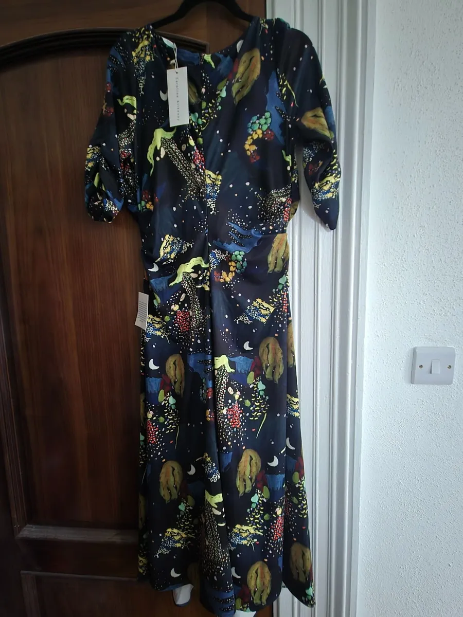 Caroline Kilkenny dress - Image 3