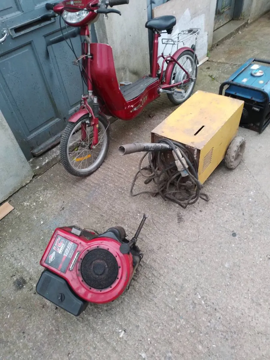 Shed clear out - Image 1