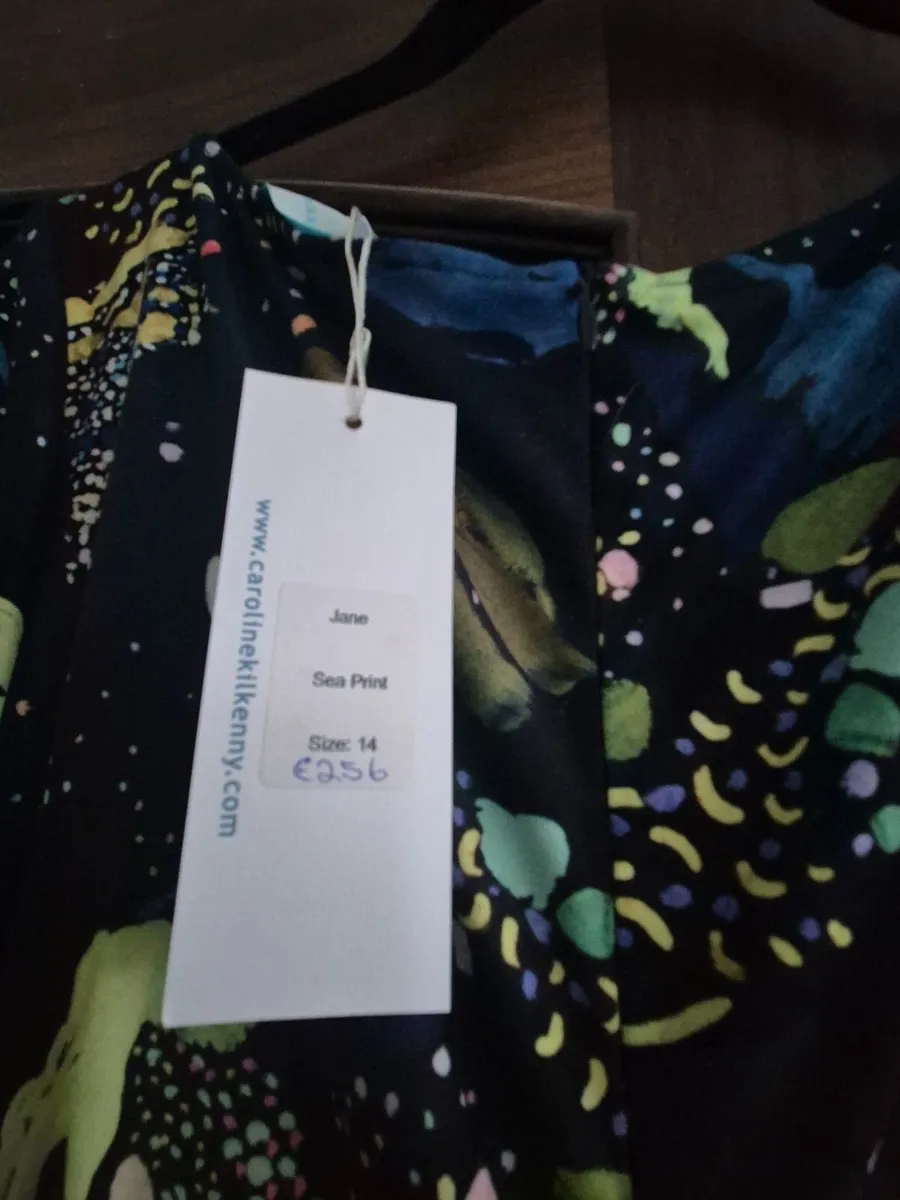 Caroline Kilkenny dress - Image 4