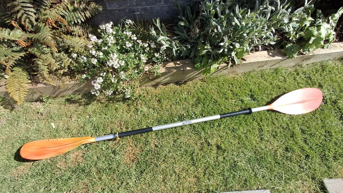 Kayak - Image 4