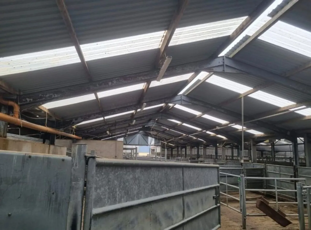 Cork Farm Painters & Shed Repairs - Image 2