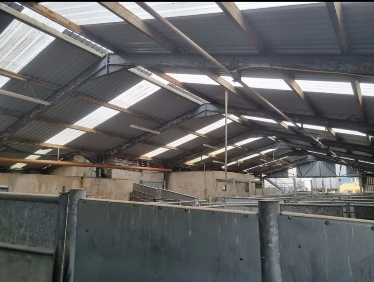 Cork Farm Painters & Shed Repairs - Image 3