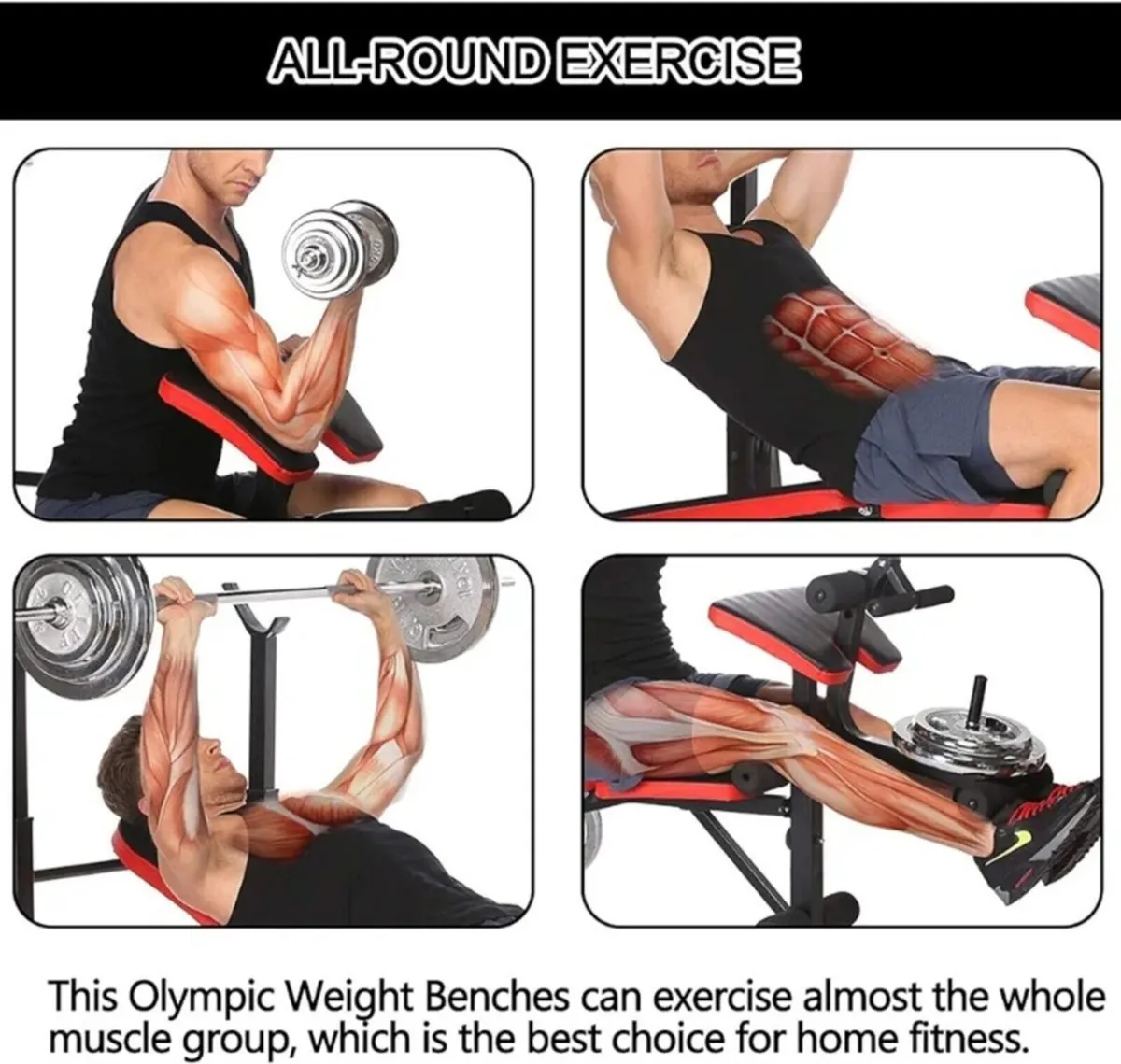 Adjustable Multifunctional Weight Bench brand new - Image 4