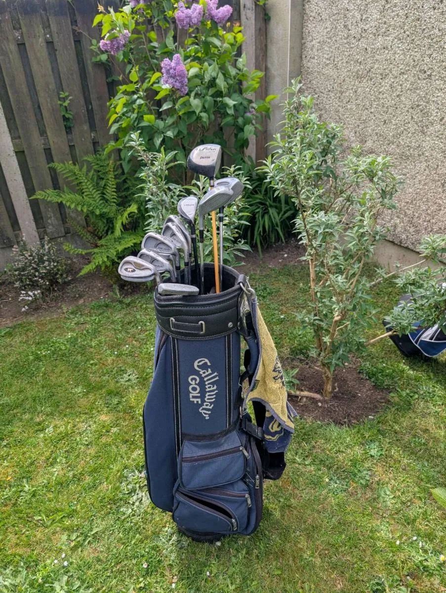 Set of adult Golf clubs must go tonight - Image 1