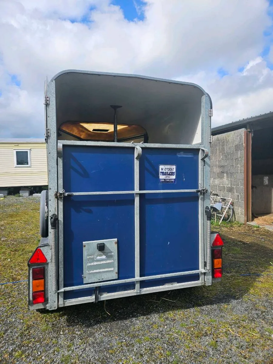 Horse box - Image 4