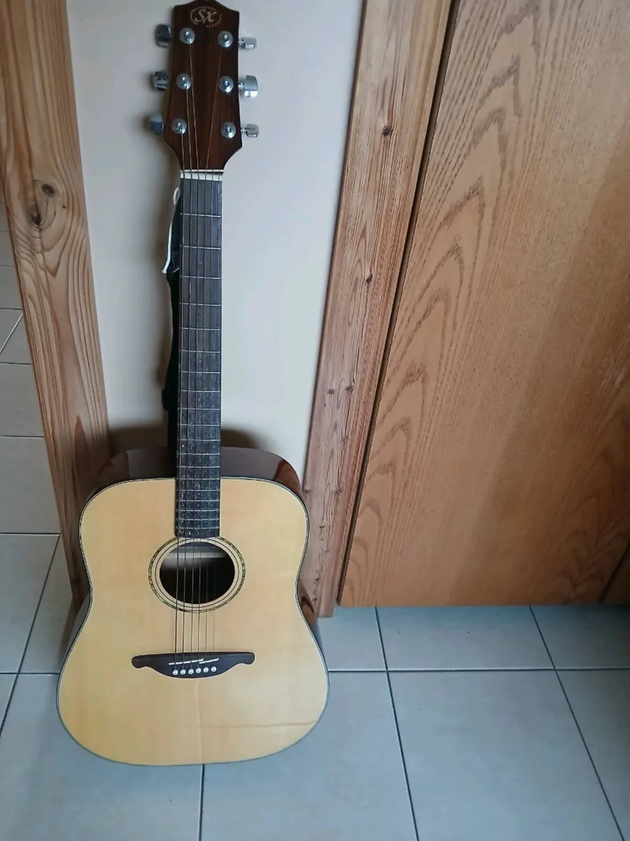 Guitar / Guitar Bag - Image 2