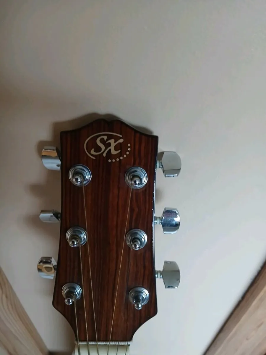 Guitar / Guitar Bag - Image 4