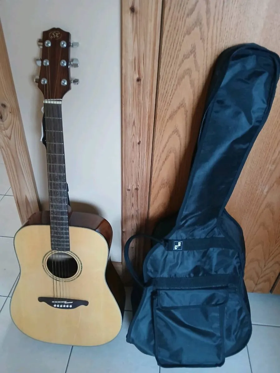 Guitar / Guitar Bag - Image 1