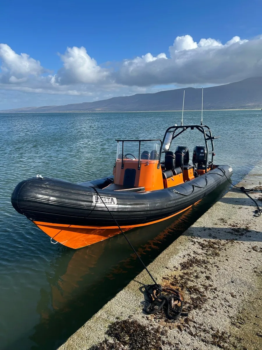Delta RIB - Image 1