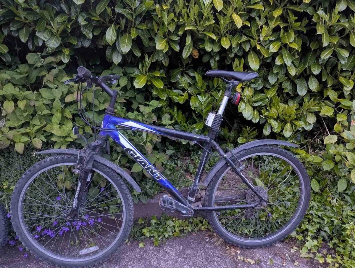 Bike