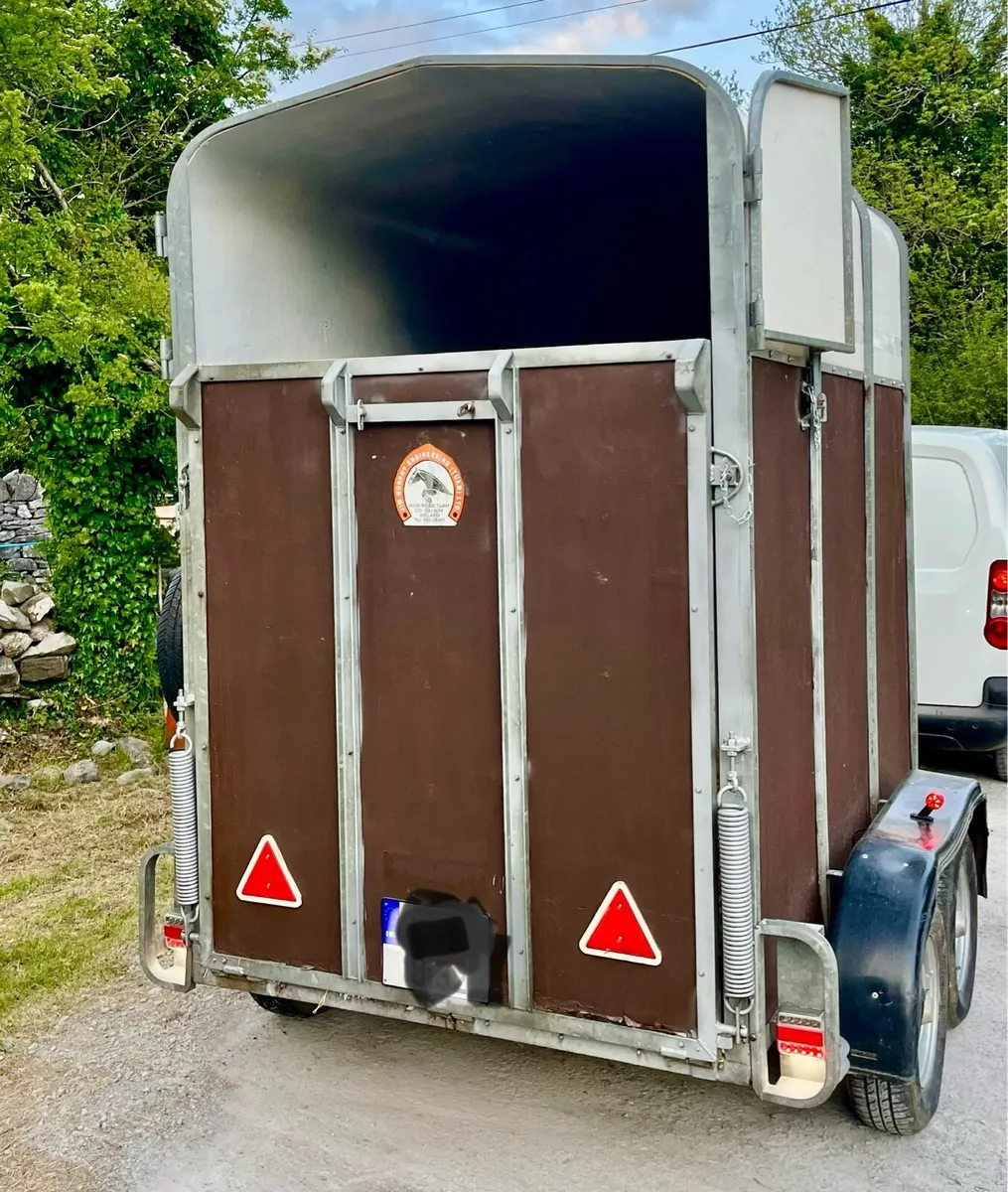 Mare and Foal Horsebox - Image 2