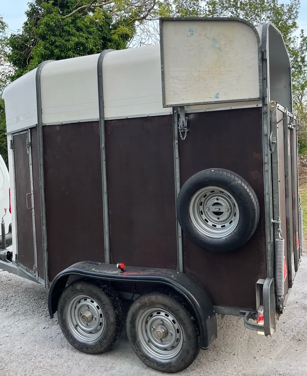 Mare and Foal Horsebox - Image 3