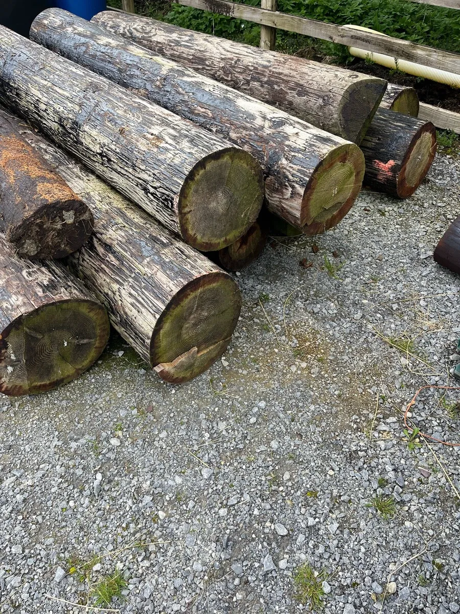 electricity poles - Image 1