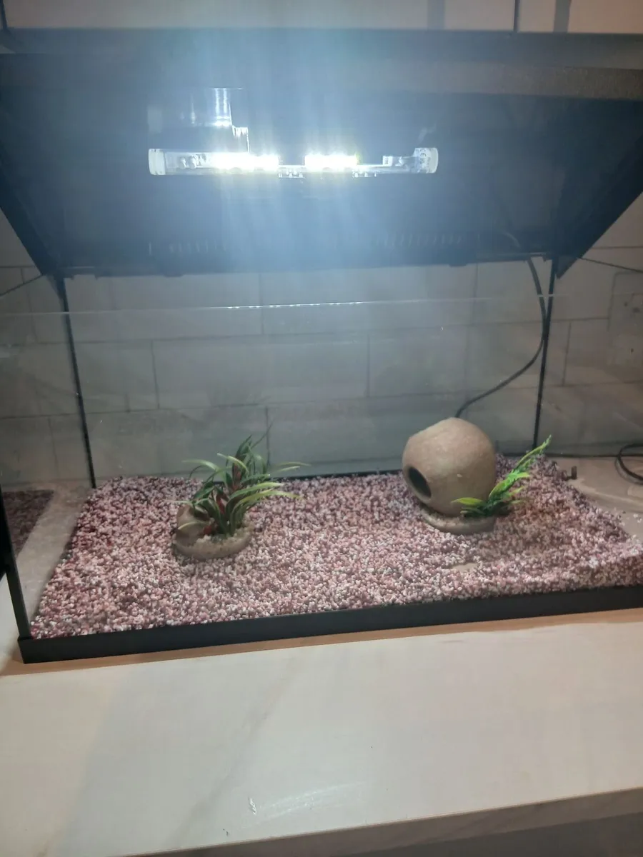 Fish Tank/Aquarium - Image 3