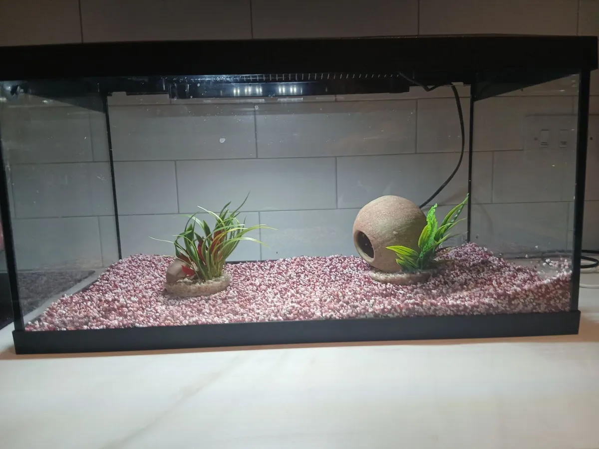 Fish Tank/Aquarium - Image 4