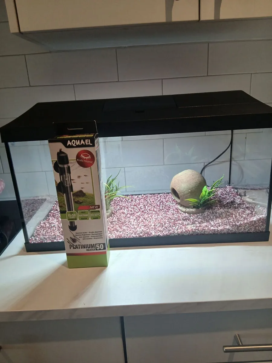 Fish Tank/Aquarium - Image 2