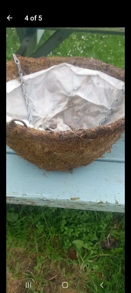Hanging baskets - Image 1