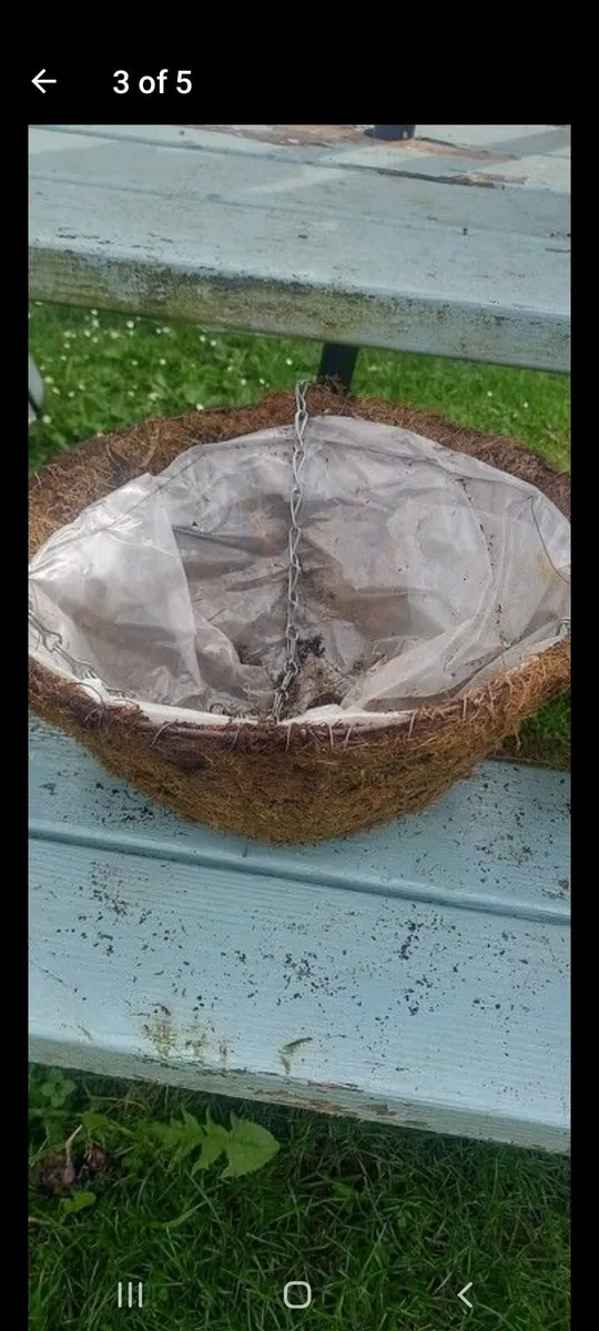 Hanging baskets - Image 2