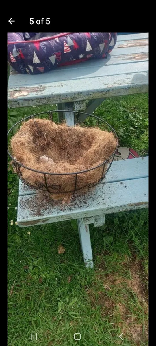 Hanging baskets - Image 3