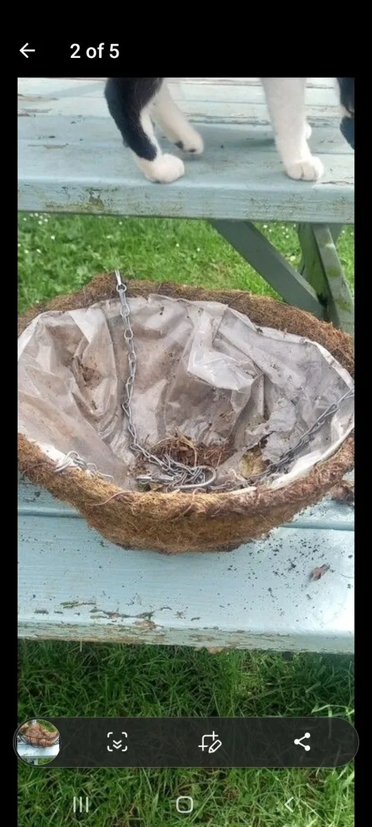 Hanging baskets - Image 4
