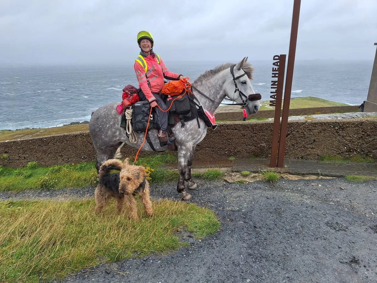 2-day Workshop on teaming up with your horse - Image 1