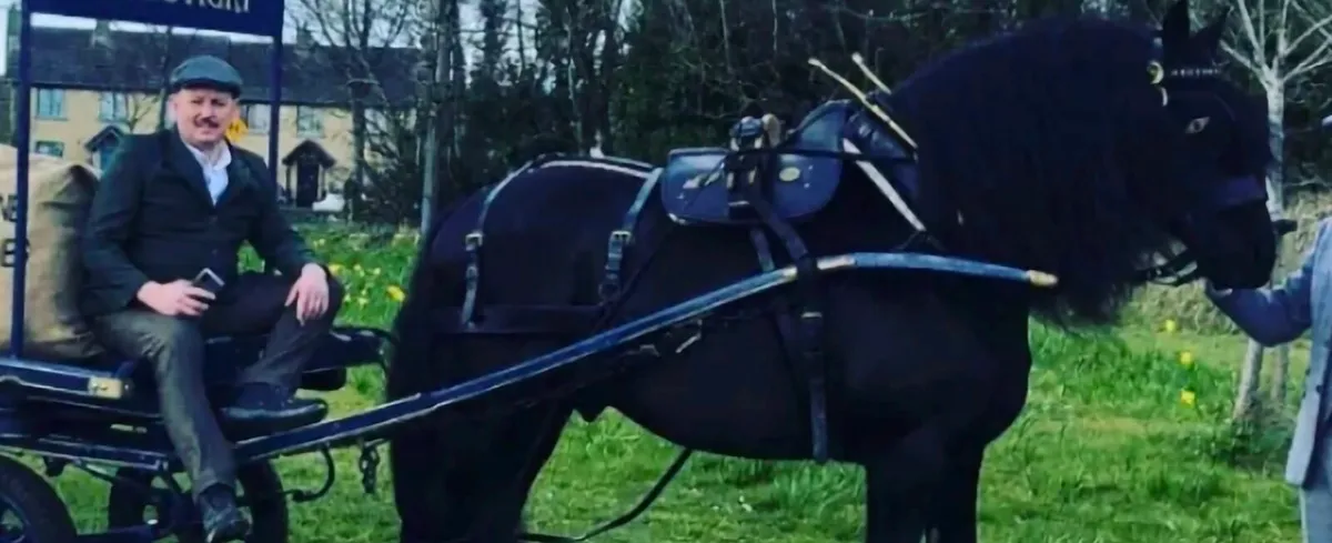 Cie harness - Image 2