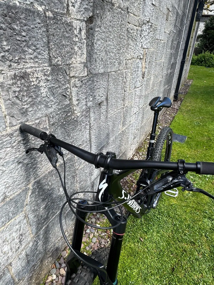 S Works Enduro - Image 3