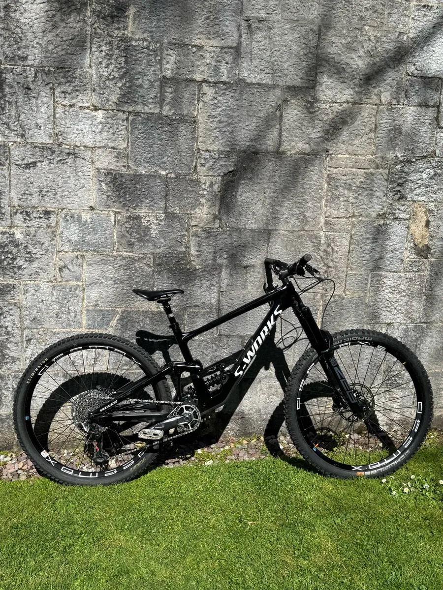 S Works Enduro - Image 1