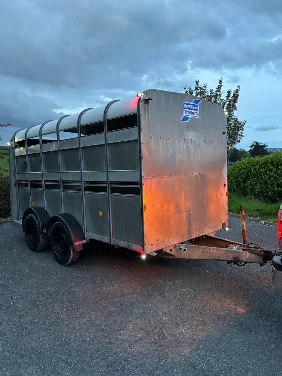 12x6 Ifor Williams cattle box - Image 1