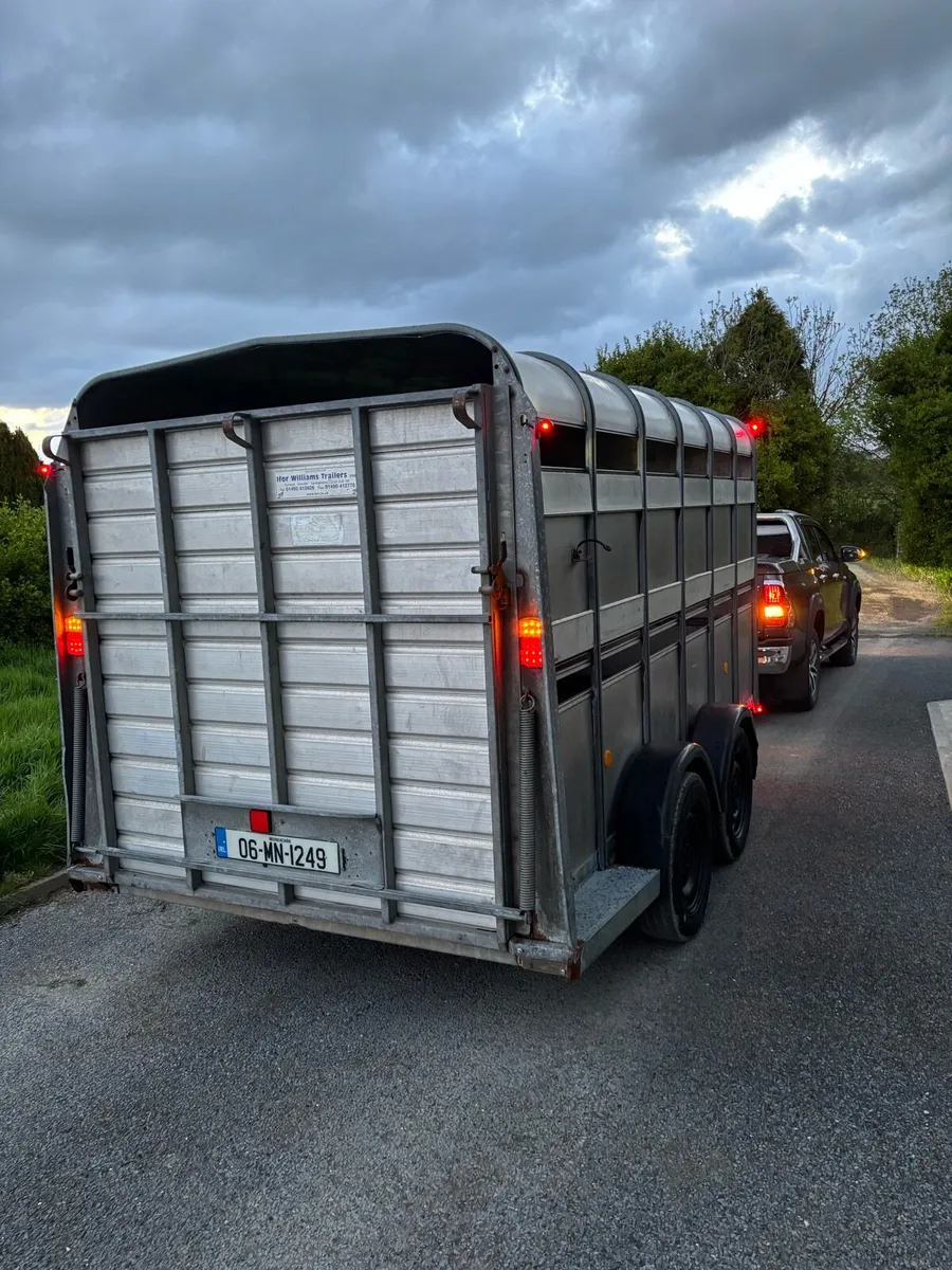 12x6 Ifor Williams cattle box - Image 2